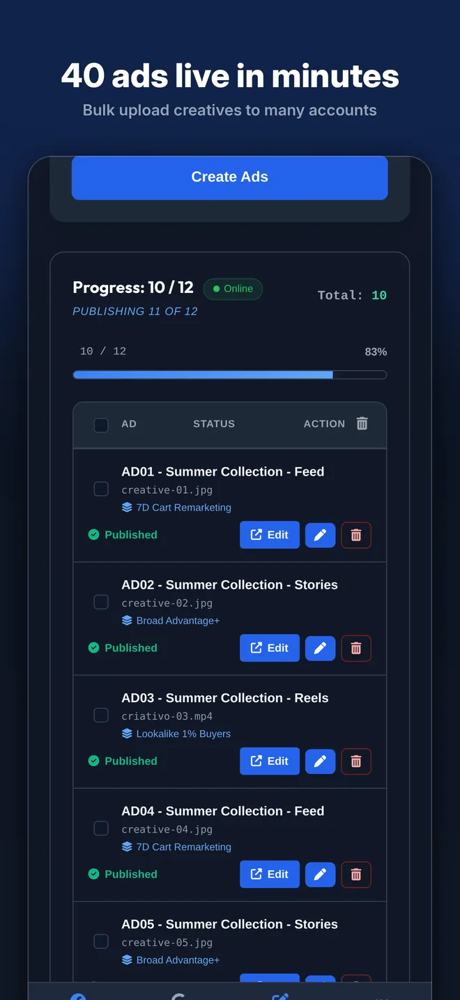 Ads Editor app on iPhone: bulk ad editor